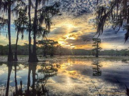 The Sun Sets Over A Tranquil Swamp