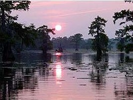 A Serene Sunset Illuminates The Swamp