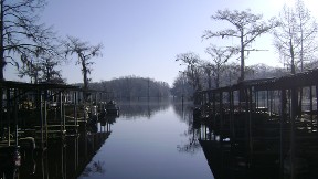 A Serene Lake Featuring Multiple Dock Houses Along Its Shoreline